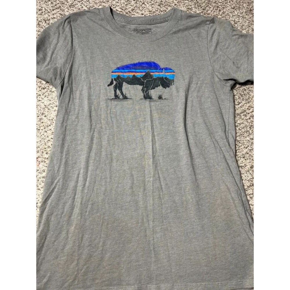 Patagonia T-shirt Size Small